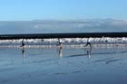 Blyth Sands 5 scenic.